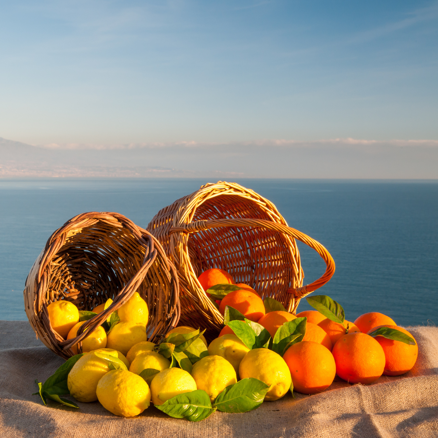 Limoni di Ribera Siciliani – 10 kg - Made in Italy - Spedizione in Italia in 48 ore