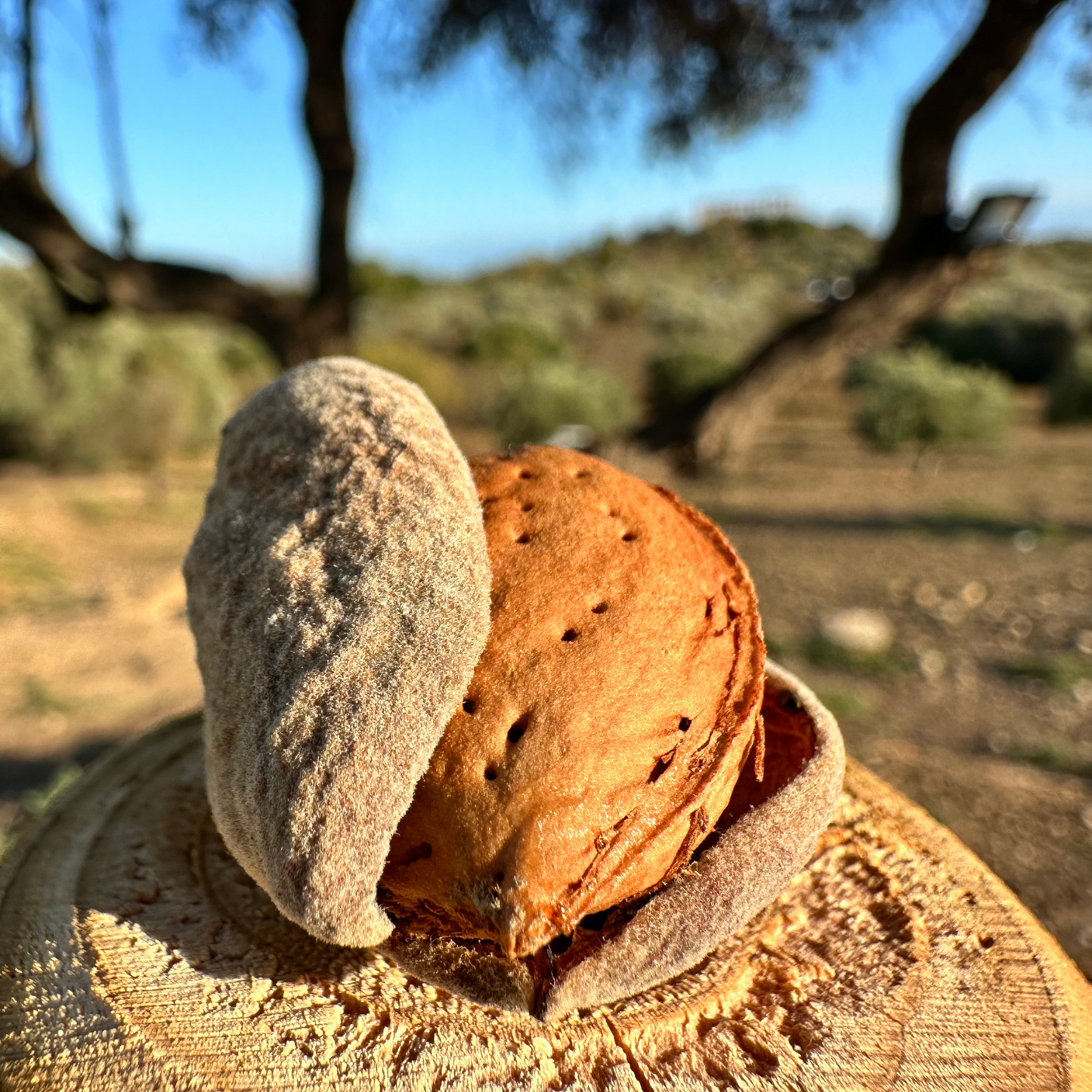 Mandorla Siciliana Sgusciata - Lia Sicily 1 kg